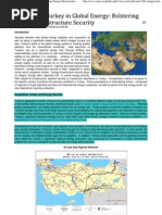 The Role of Turkey in Global Energy_ Bolstering Energy Infrastructure Security