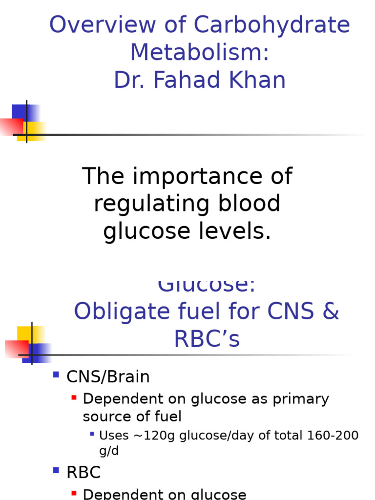 Carbohydrate Metabolism and Blood Glucose Regulation | PDF | Wellness