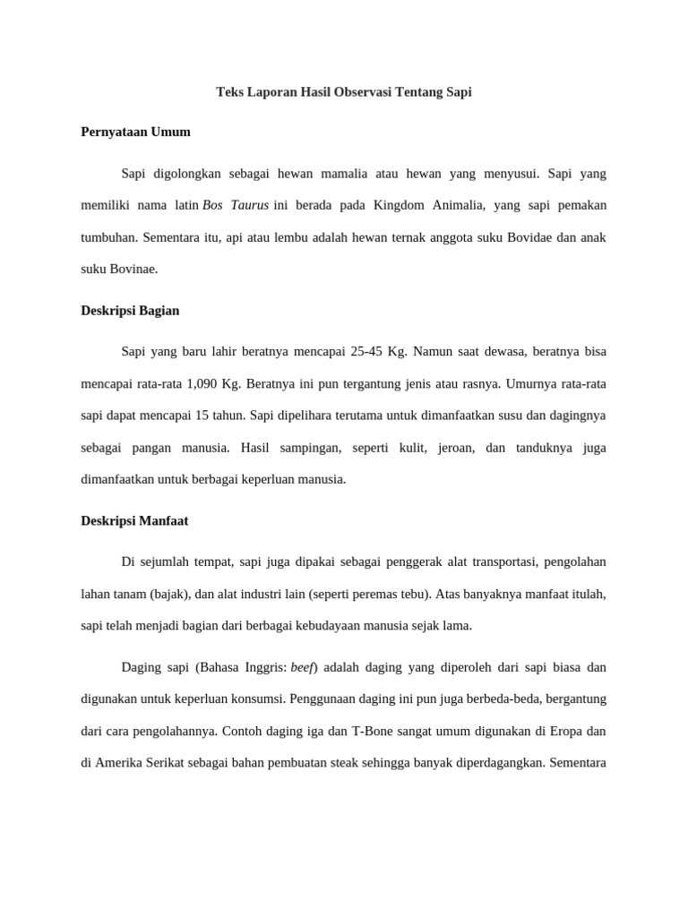 Teks Laporan Hasil Observasi Tentang Sapi PDF Kesehatan Holistik
