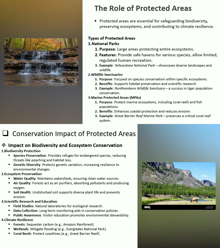 The Role of Protected Areas | PDF | Home & Garden | Science & Mathematics