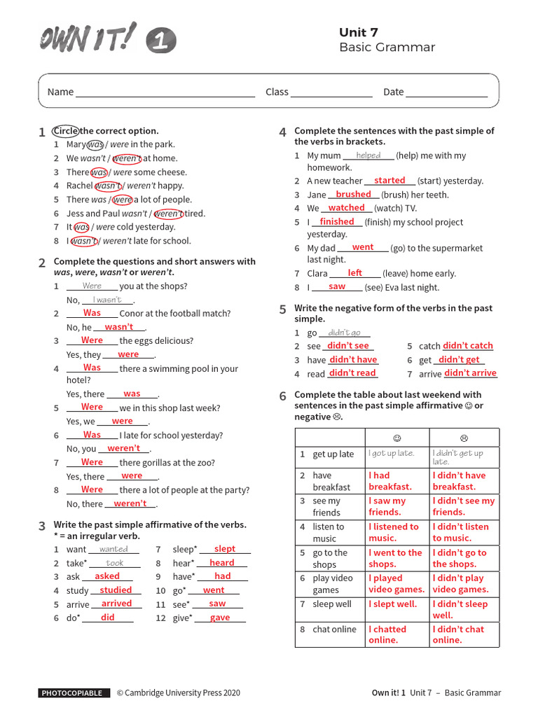 Basic Grammar: Past Simple Exercises | PDF | Grammar | Linguistics