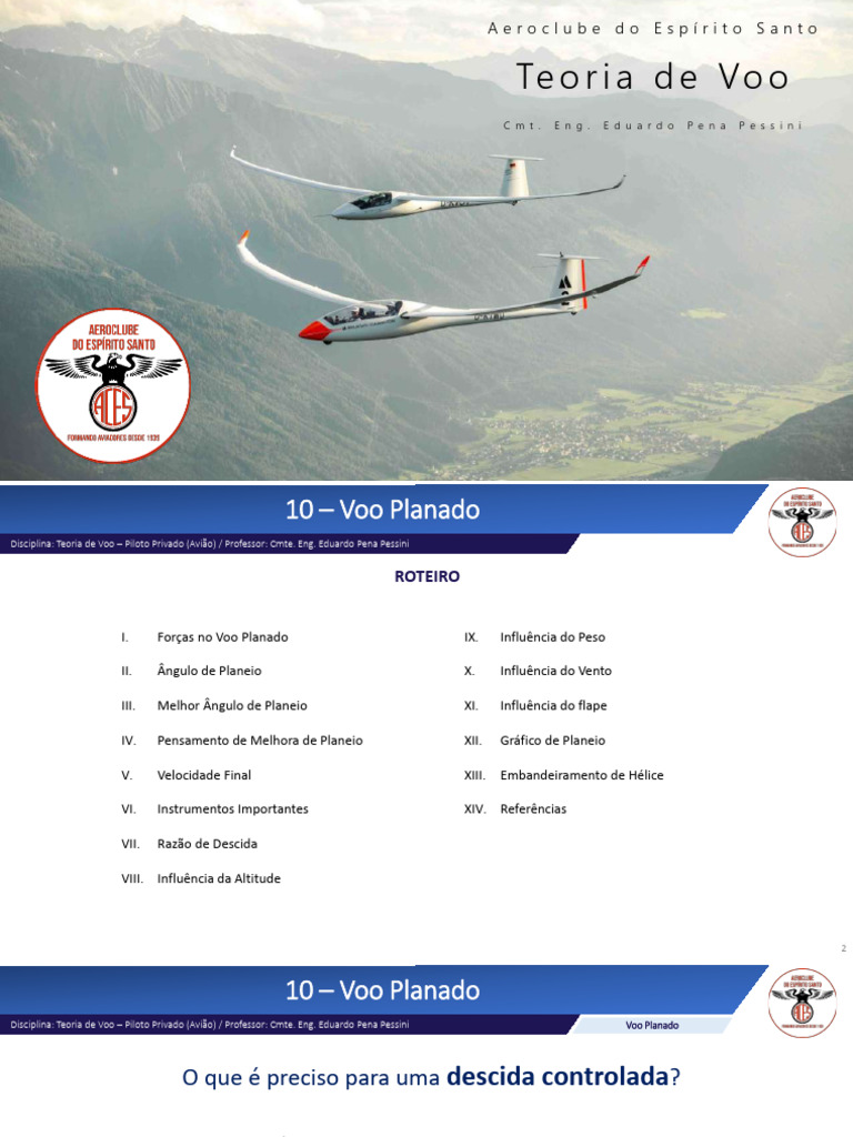 Dinâmica do Voo Planado | PDF | Voo | Avião
