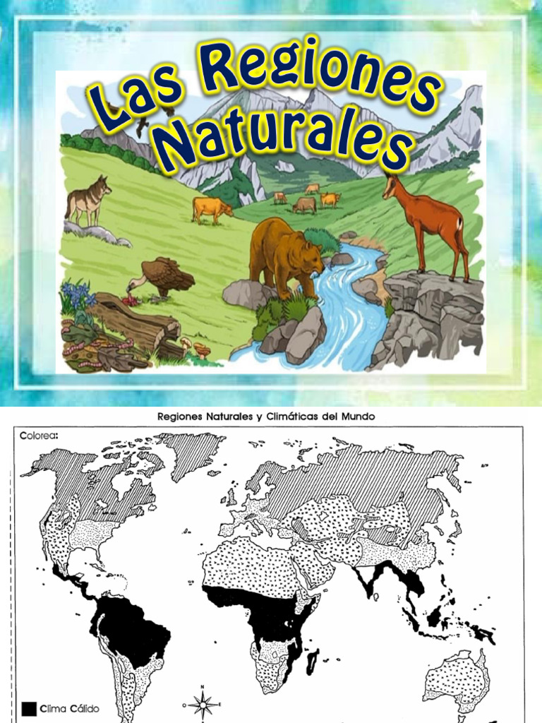Regiones Naturales 2025 | PDF | Selva | Arboles