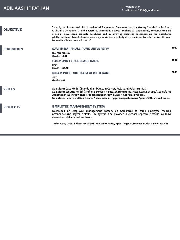 Salesforce Developer Profile | PDF | Career & Growth | Business