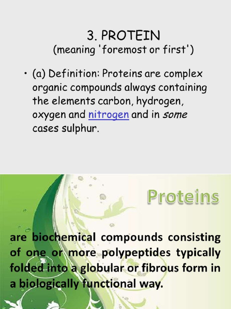 Proteins | PDF
