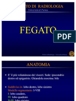 fegato quadri radiologici