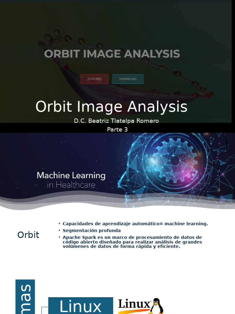 Orbit Image Analysis | PDF