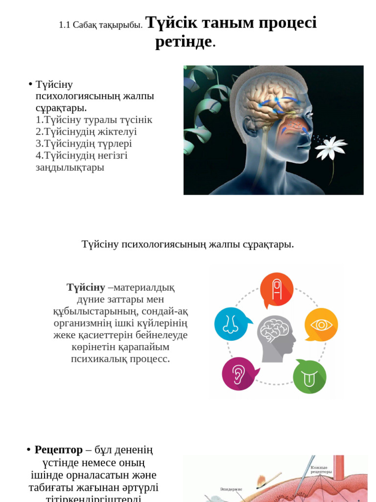 Нәресте жыныстық аймақта