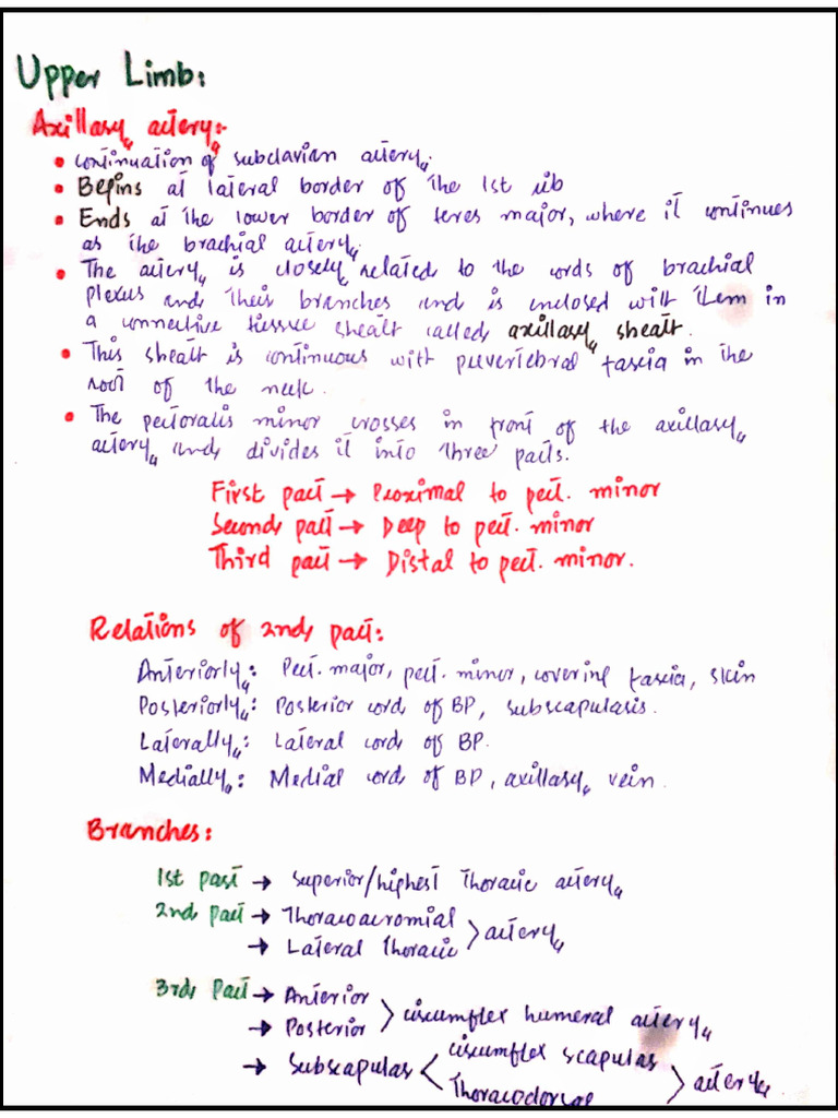 Arteries of Upper and Lower Limb | PDF