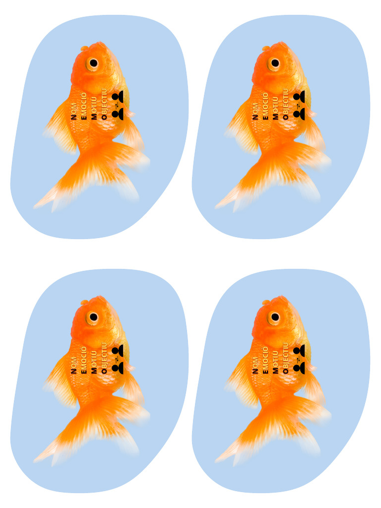 NEMO | PDF