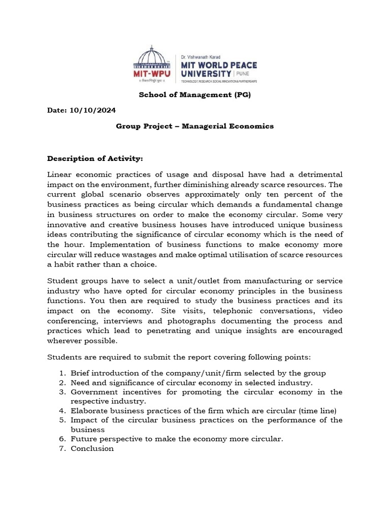 Group Project - Mangerial Economics | PDF | Economics | Business