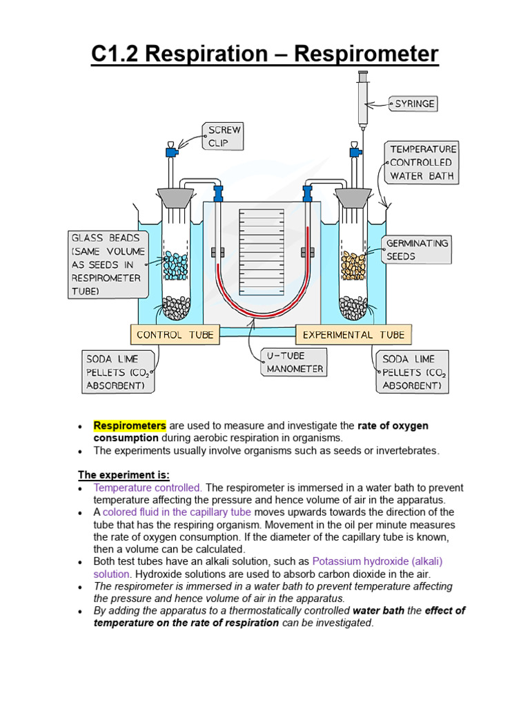 Measuring Oxygen Consumption with Respirometers | PDF