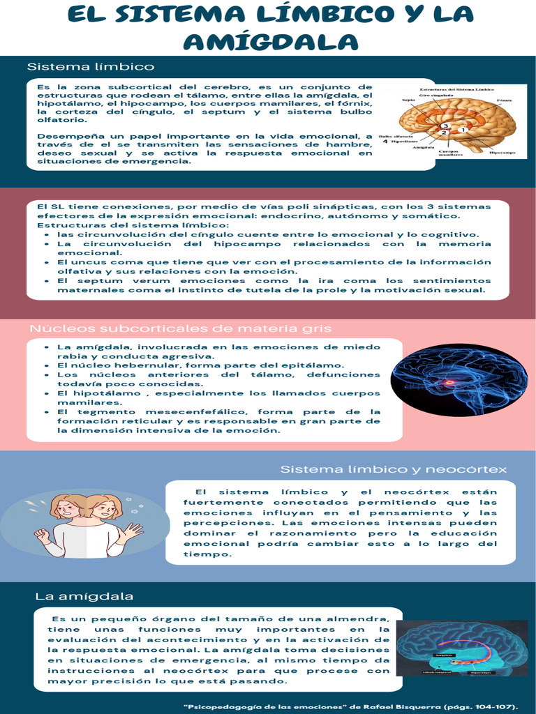 Partes del Sistema Límbico y Amígdala | PDF | Las emociones | Sistema ...