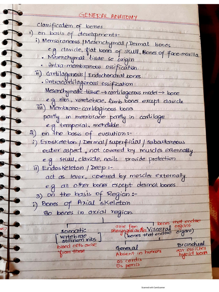 GA Notes | PDF