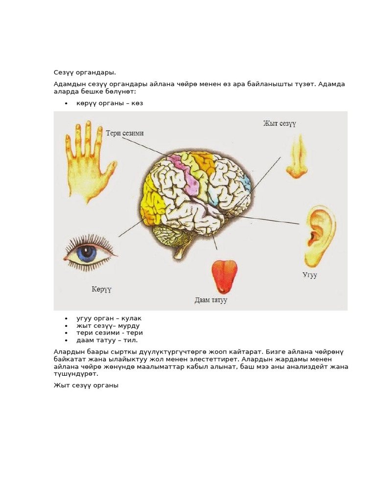 Ежелгі Римдегі порно