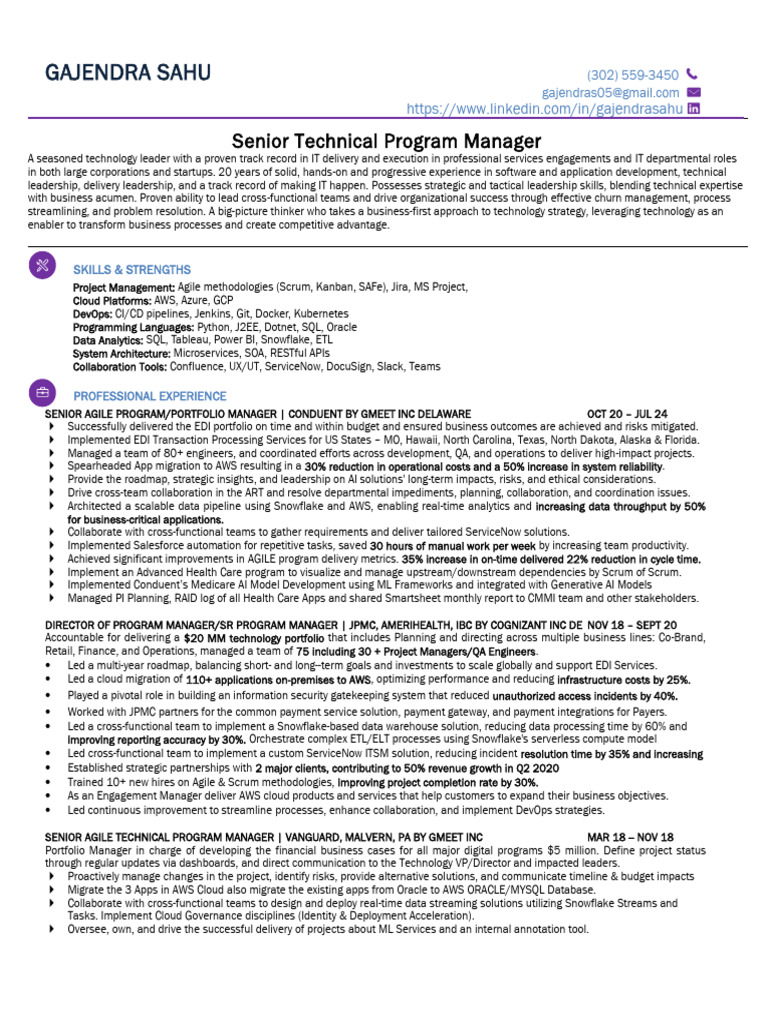 Senior Technical Program Manager Profile | PDF | Agile Software ...