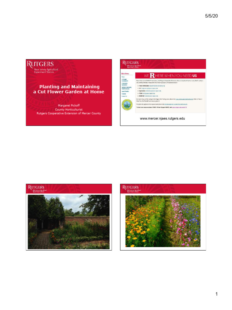 Gardening at home | PDF | Flowers | Botany