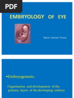 Embryology of Eye