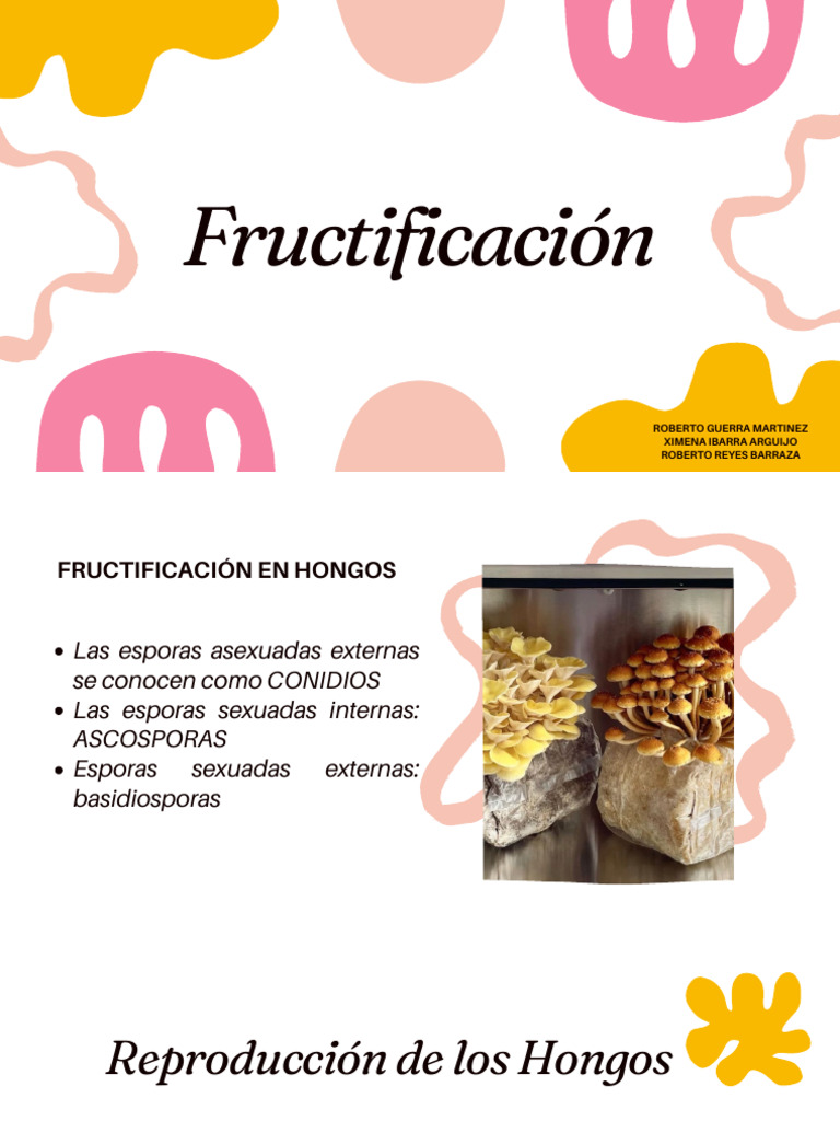 Fructificación | PDF | Ciencia y matemáticas
