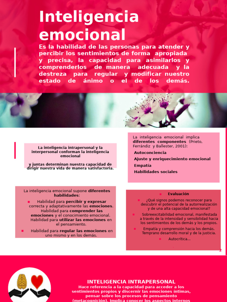 Habilidades de la Inteligencia Emocional | PDF | Las emociones ...