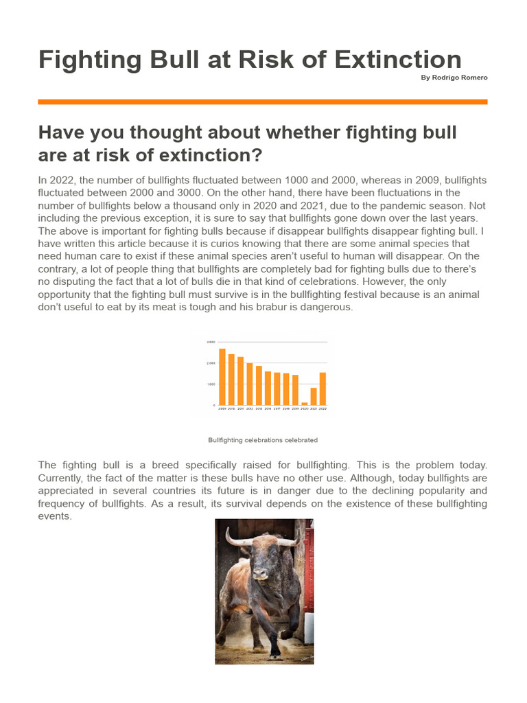 Fighting Bull at Risk of Extinction | PDF | Bullfighting | Bull