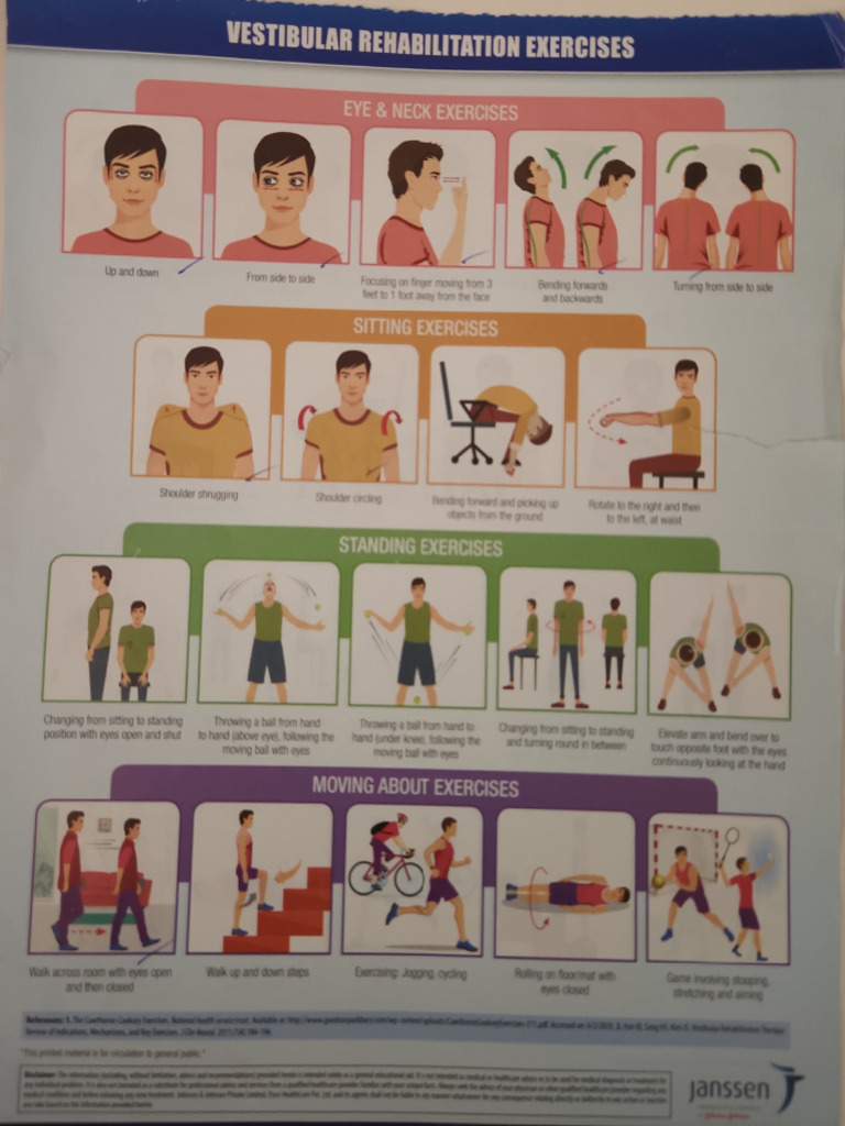 Vestibular Rehabilitation Exercise Guide | PDF | Limbs (Anatomy ...