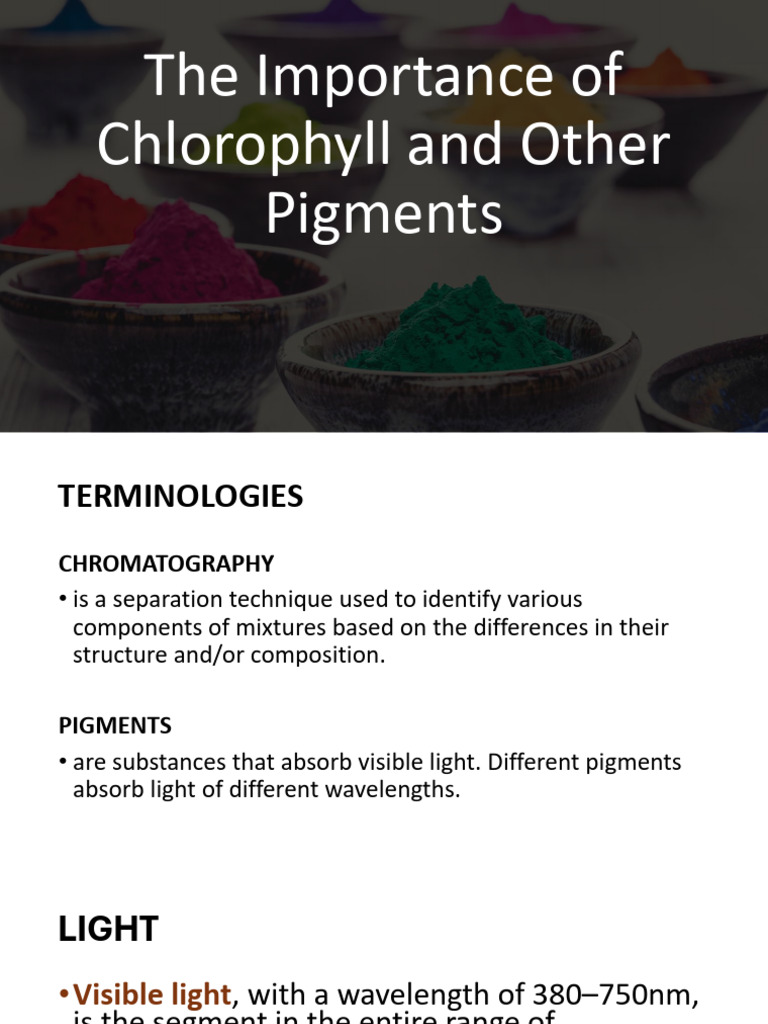 Chlorophyll and Pigments in Photosynthesis | PDF | Chlorophyll ...