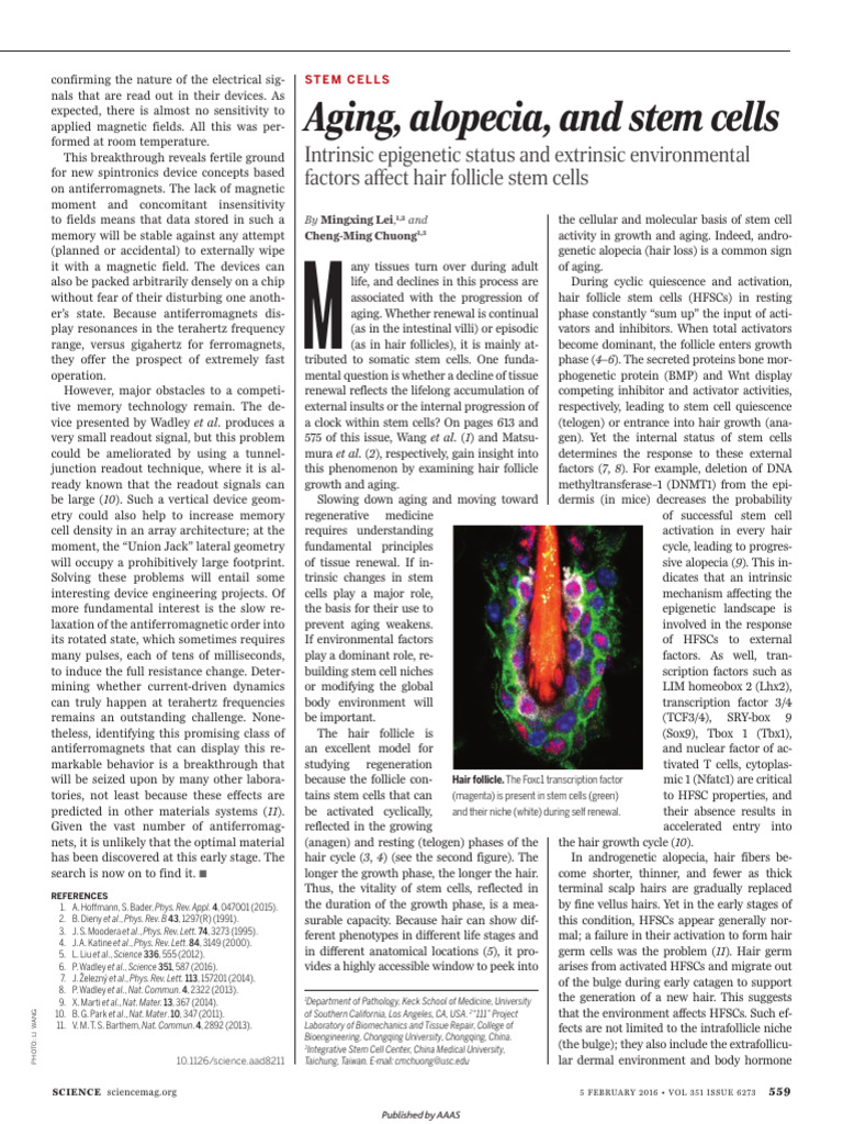 Aging - Alopecia and Stem Cells | PDF | Stem Cell | Biology
