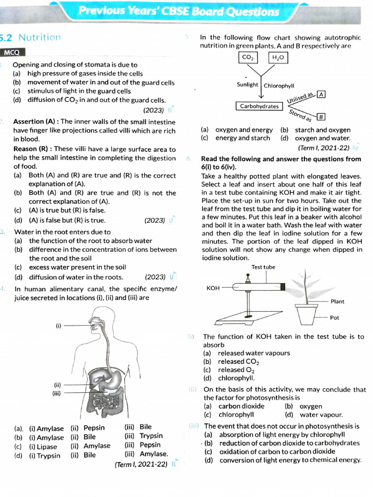 Nutrition and Digestion Concepts MCQs | PDF | Kidney | Anatomy