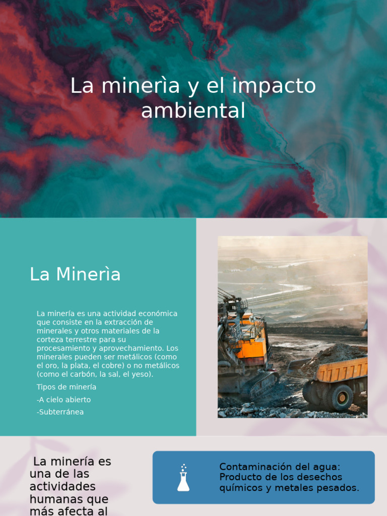La Mineria y El Impacto en La Flora y Fauna | PDF | Destrucción del ...