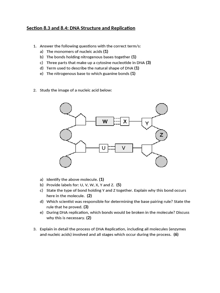 DNA Problems - 8.3 and 8.4 | PDF | Science & Mathematics | Technology ...