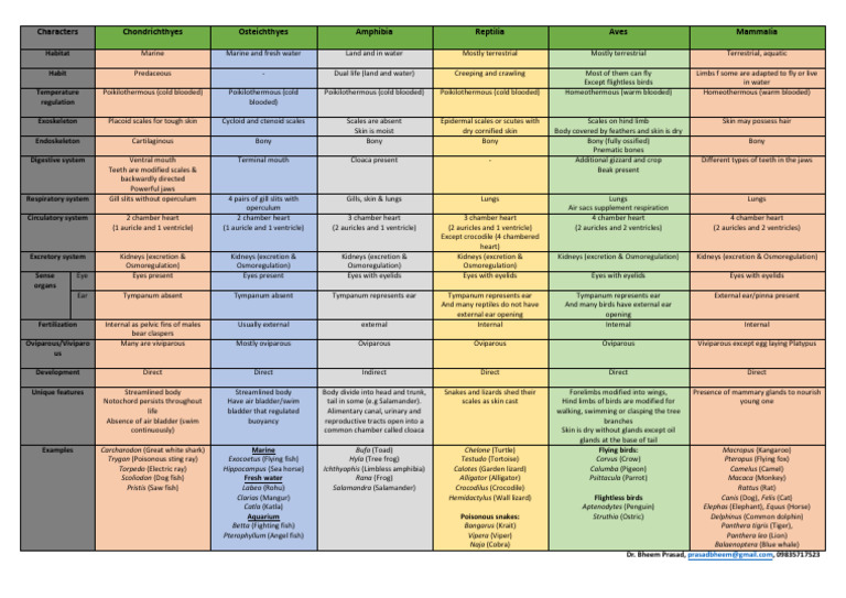 Animal Kingdom- Map 3 | PDF | Zoology