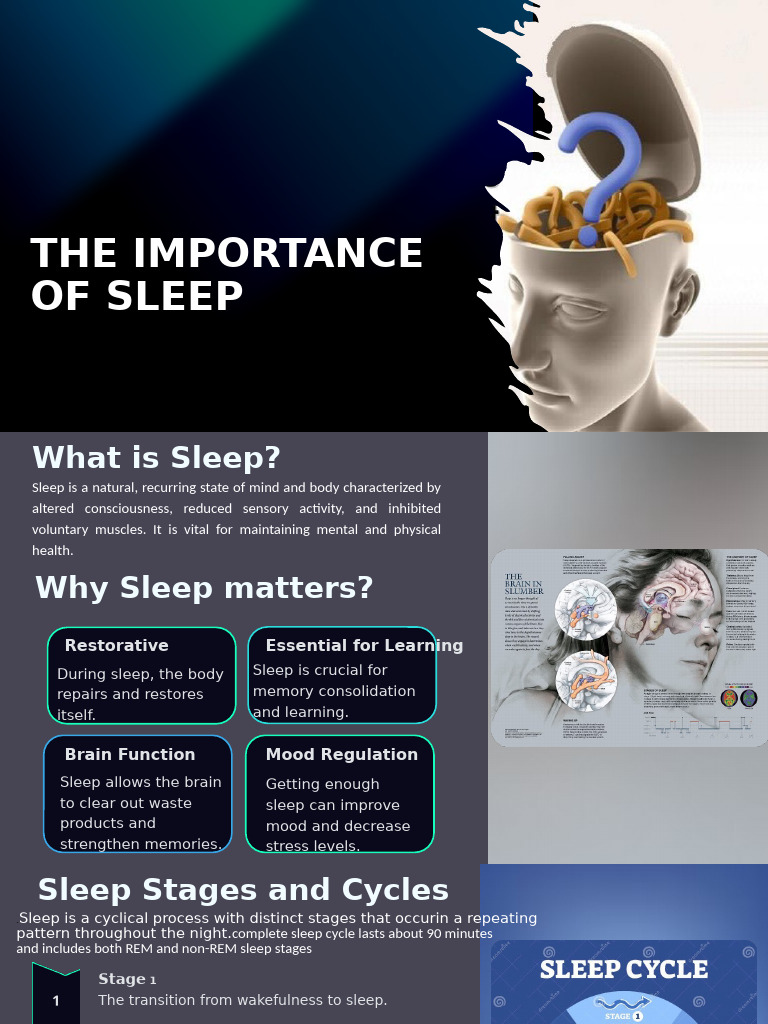 The importance of sleep pdf sleep rapid eye movement sleep