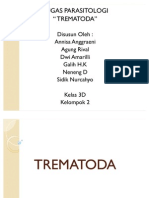 TREMATODA