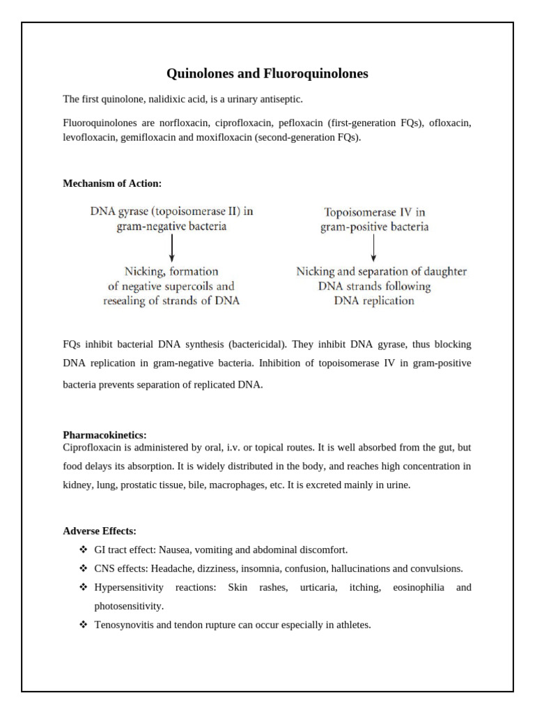 Quinolones and Fluoroquinolones Overview | PDF