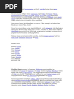 Download Marmut by vitriaangiyani SN79072517 doc pdf