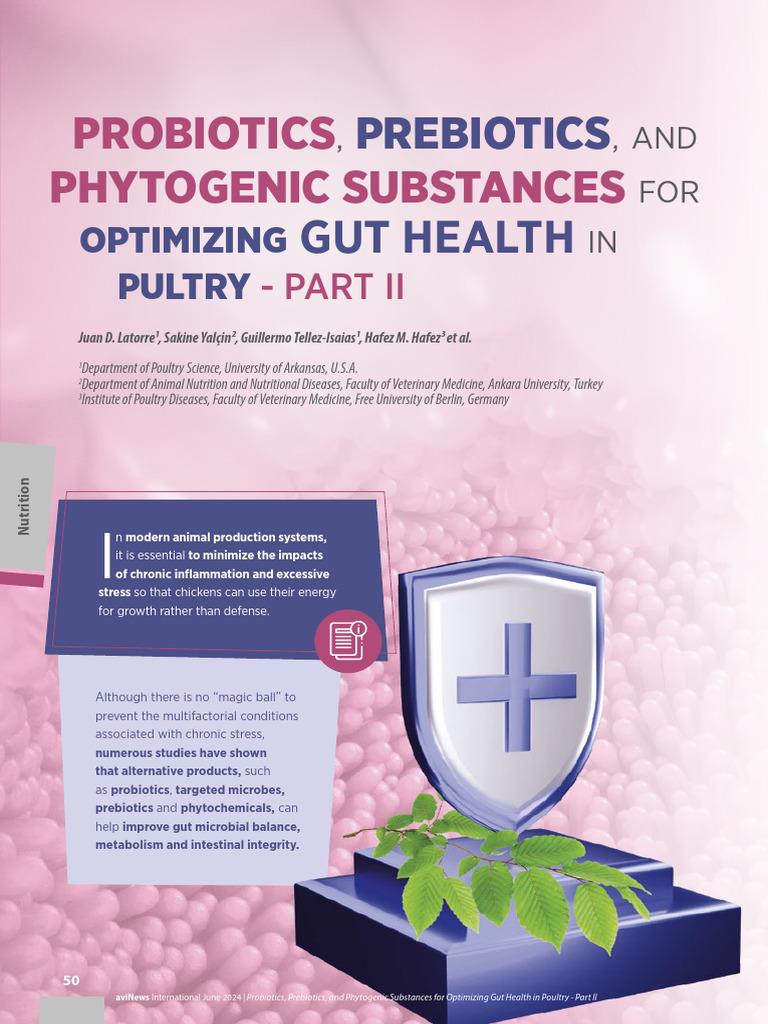 Enhancing Poultry Gut Health with Probiotics | PDF | Probiotic ...