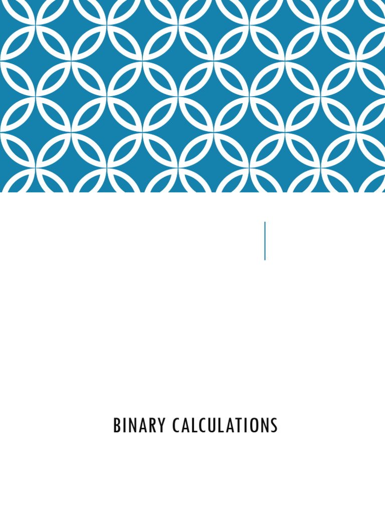 3 Computer Arithmetic | PDF | Numbers | Elementary Mathematics