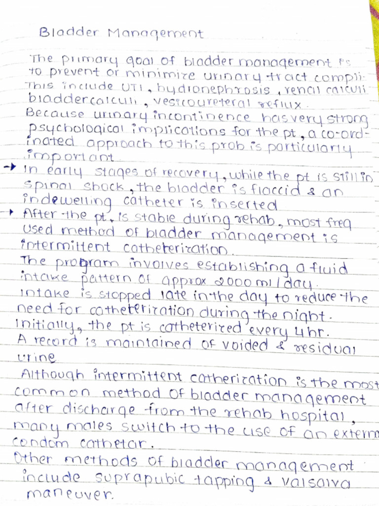 Bladder Management and Postural Hypertension | PDF | Organ (Anatomy ...