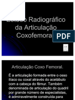 articulação coxo femural