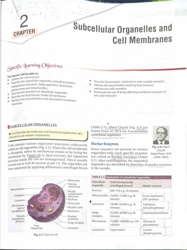 Biochem Sub Cellular Organelles | PDF