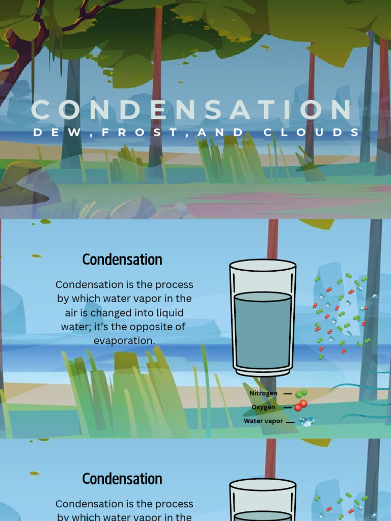 Understanding Condensation Processes | PDF | Fog | Humidity