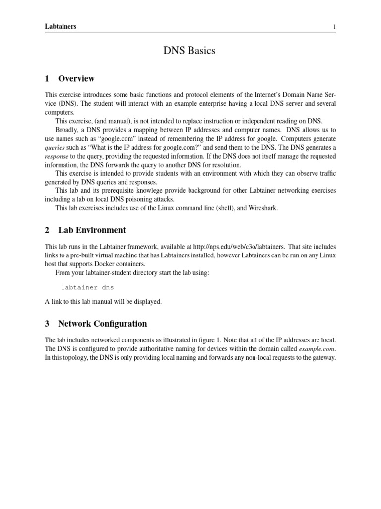 DNS Basics: Labtainers | PDF | Domain Name System | Computer Network