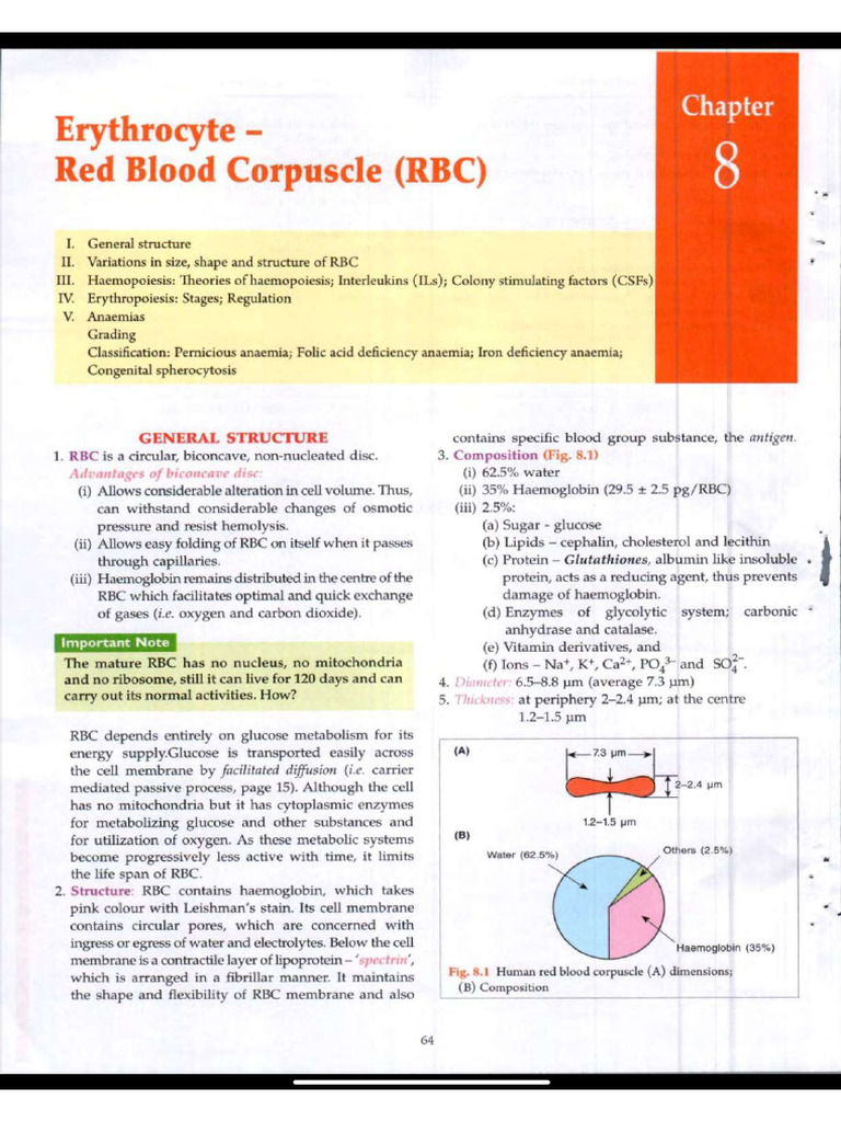 Erythrocyte | PDF