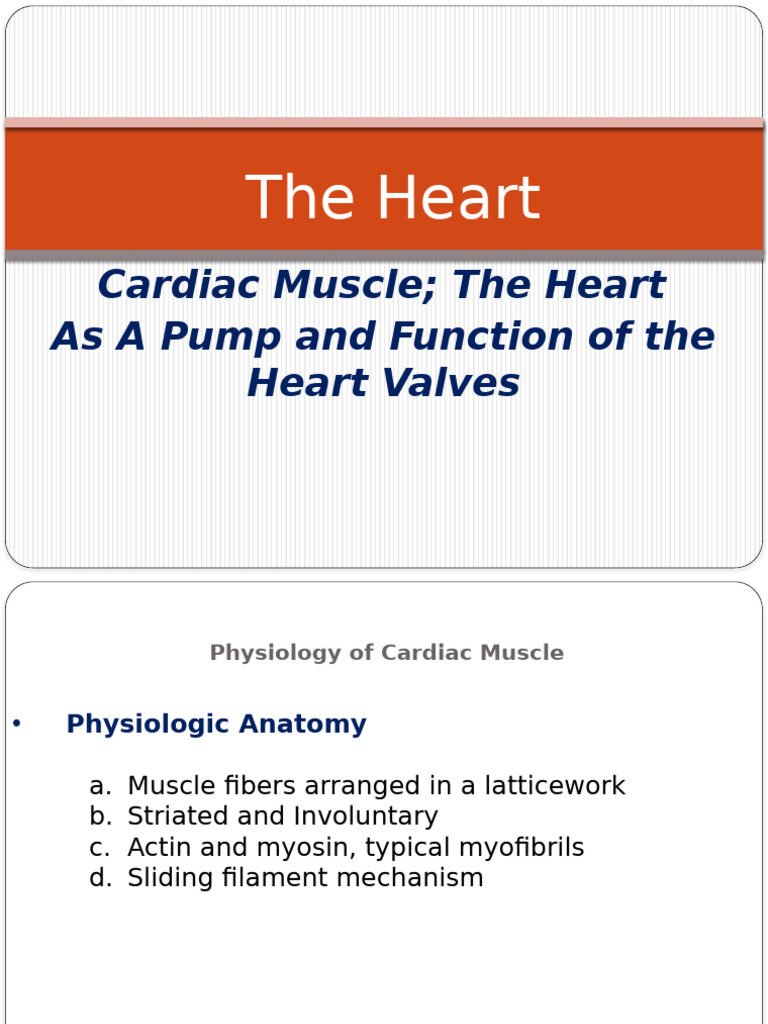 Cardiac Muscle 2 | PDF | Heart Valve | Diastole
