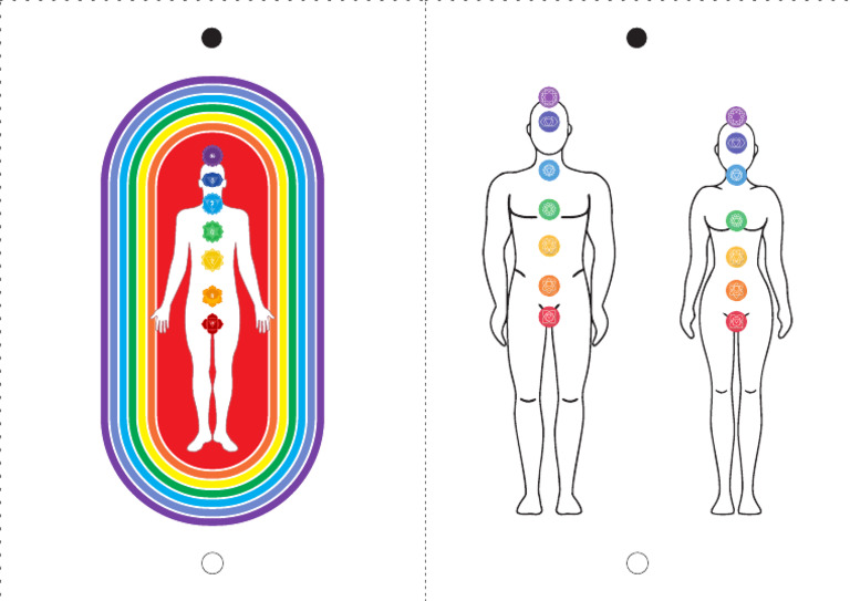 14 - Body Charts | PDF
