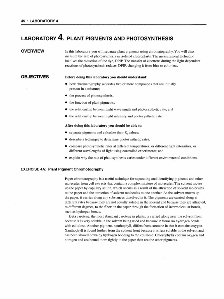Plant pigments and photosynthesis lab report picture
