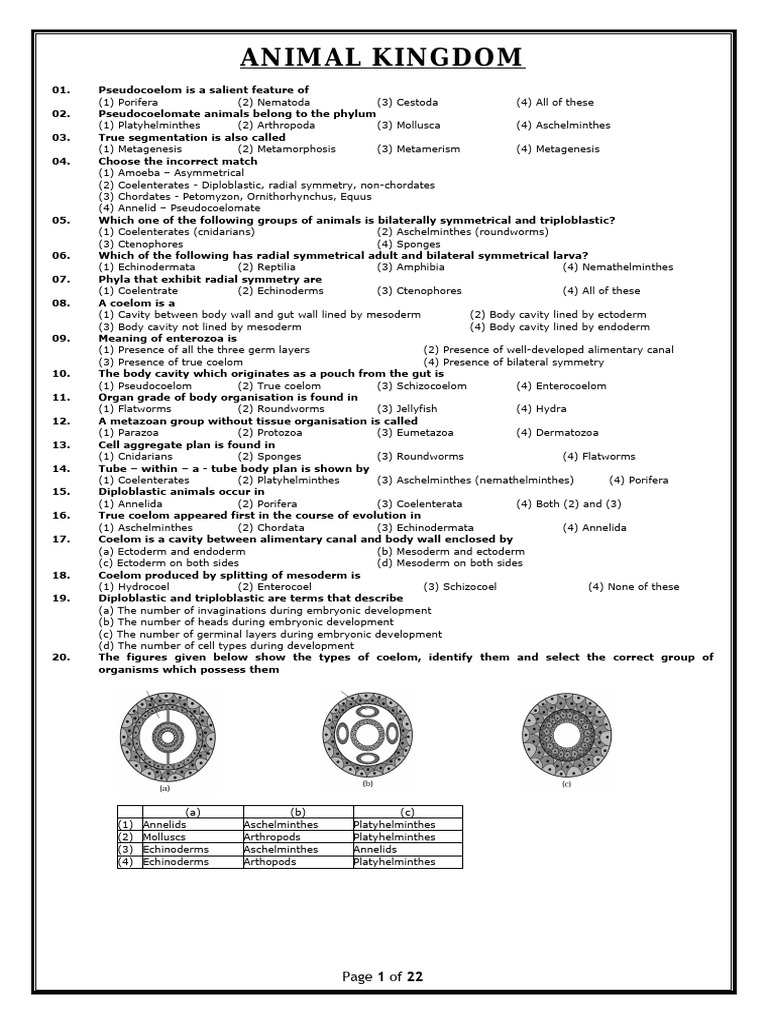 Key Concepts of Animal Classification | PDF | Sponge | Mollusca