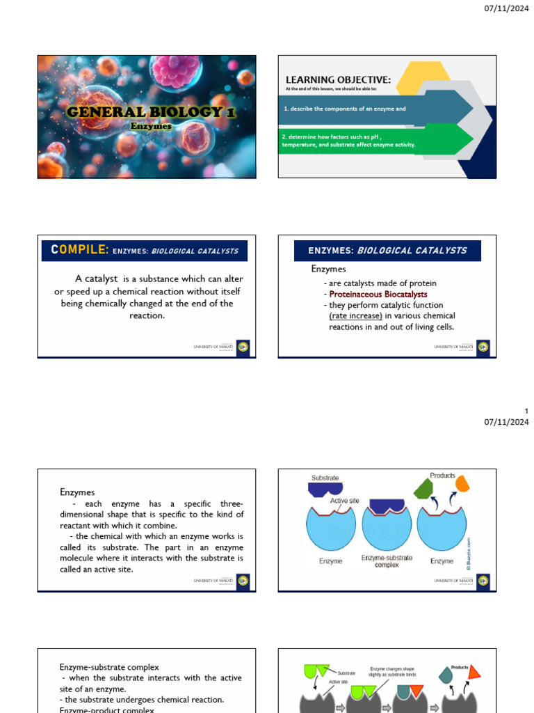 Enzymes Handouts Pdf Enzyme Digestion